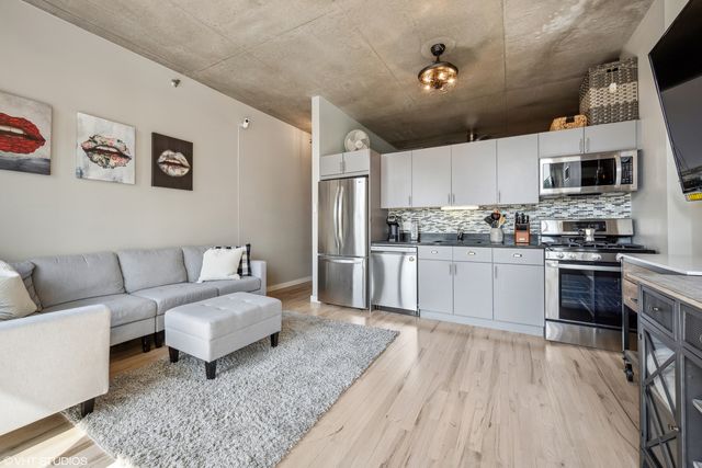 1720 S Michigan Avenue 305, Chicago, IL 60616