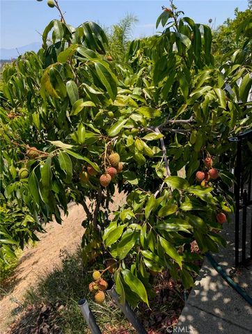 1905 Vascones, Hacienda Heights, CA 91745