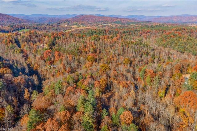 1165 Dehart Community Ctr Road, Hays, NC 28635