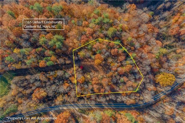 1165 Dehart Community Ctr Road, Hays, NC 28635