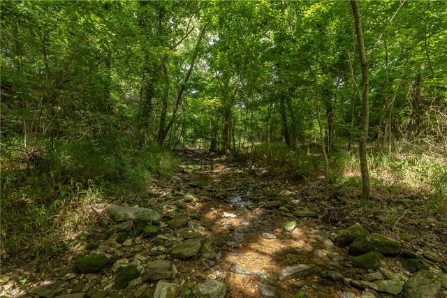 1166 Trail Bluff Drive, Fayetteville, AR 72703