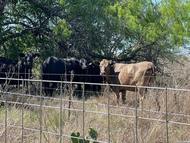 2141 County Road 132, Floresville, TX 78114
