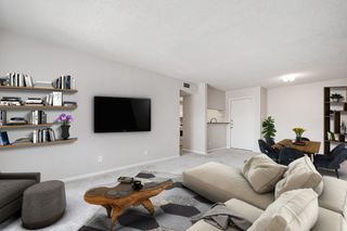 10110 Forum West Drive 128, Houston, TX 77036
