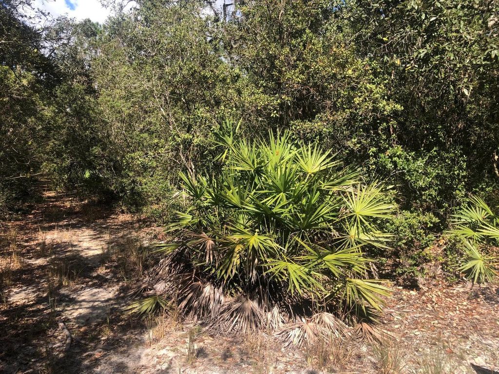 0 Oregon St, Interlachen, FL 32148