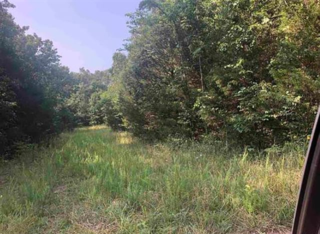 108 Par Circle, Horseshoe Bend, AR 72512