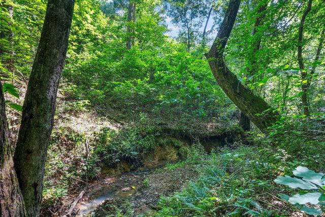 1415 Southside Rd, Southside, TN 37171