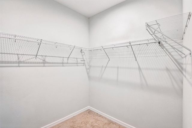 13690 STEVENSON LANE, Odessa, FL 33556