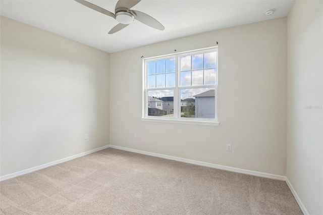13690 STEVENSON LANE, Odessa, FL 33556