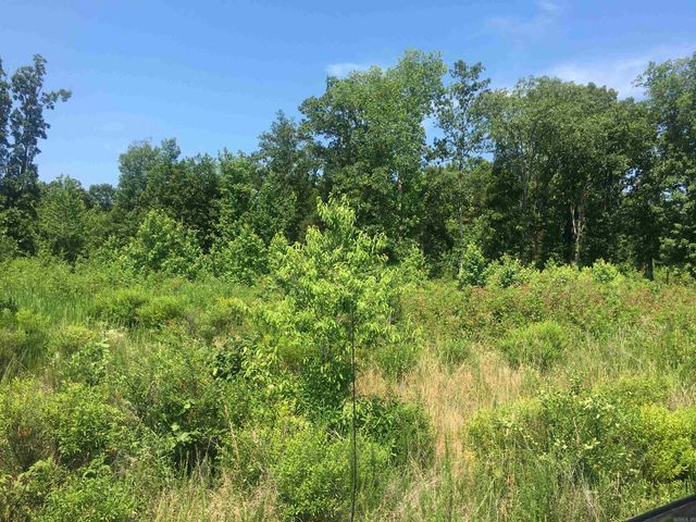 LOT 4 DONHAM Drive, Edgemont, AR 72044