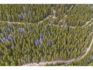 773 Harris Cir, Idaho Springs, CO 80452