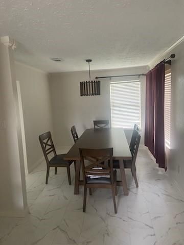 3538 Palm Grove Drive, Missouri City, TX 77459