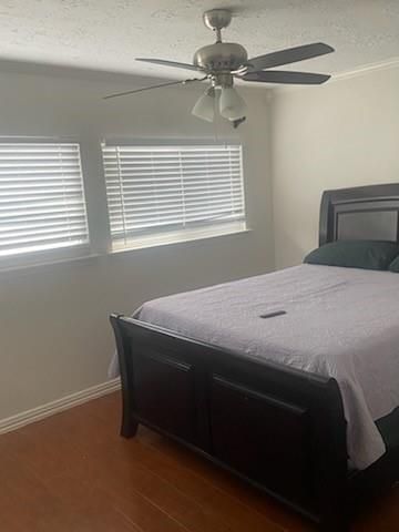 3538 Palm Grove Drive, Missouri City, TX 77459