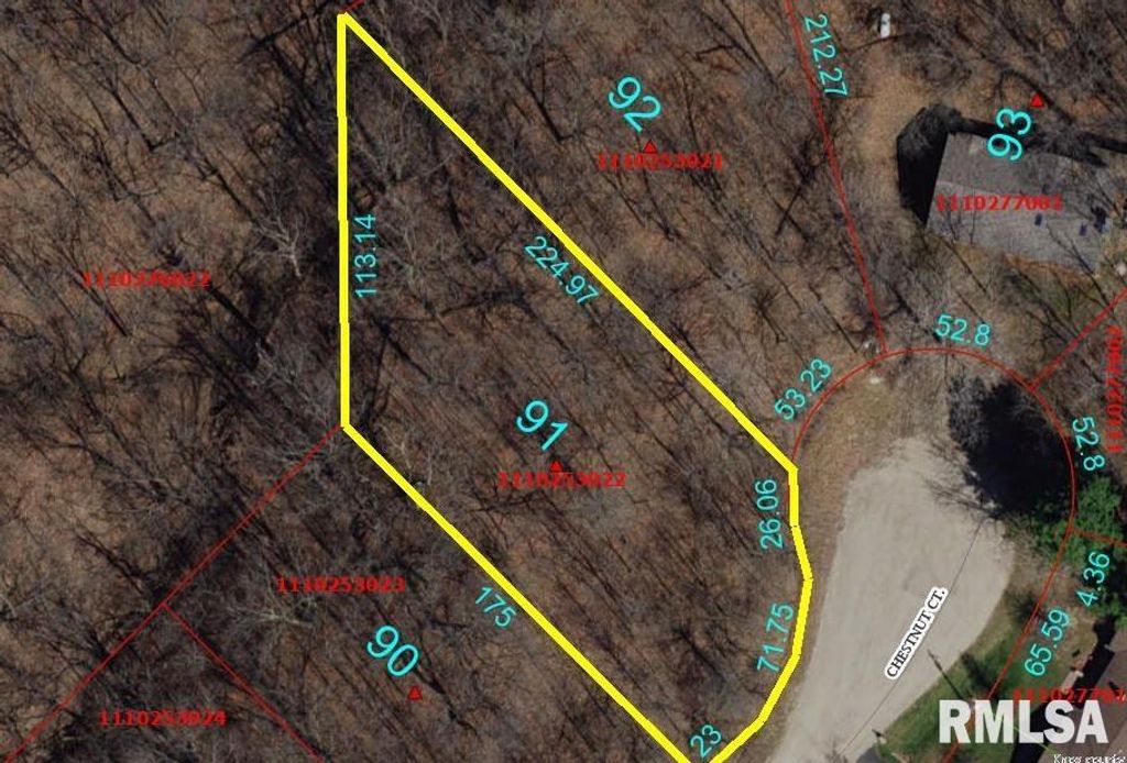 91 CHESTNUT Court, Dahinda, IL 61428