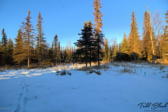 4215 S Gon Fishin Drive, Wasilla, AK 99654