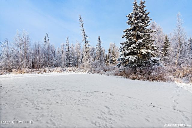 4215 S Gon Fishin Drive, Wasilla, AK 99654