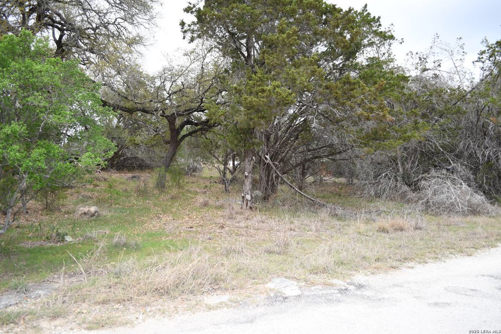 1361 Hidden Valley, Spring Branch, TX 78070