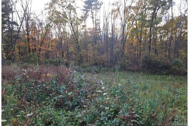 36 Olde Meadow Road, Woodstock, CT 06281