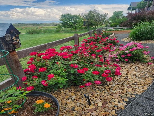 15674 Elizabeth Street, Thornton, CO 80602