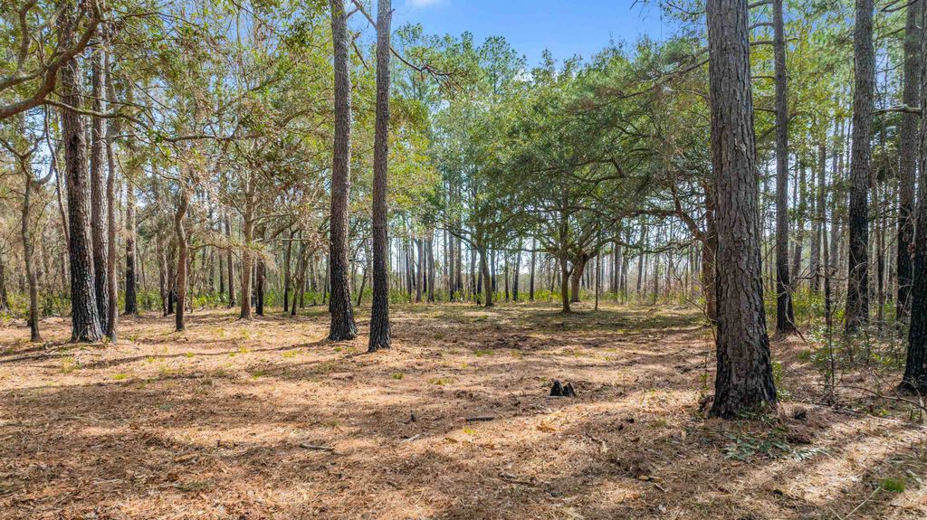 2630 Vanderbilt Blvd., Pawleys Island, SC 29585 — photo 5