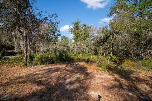 615 LAKE BUTLER AVENUE, Osteen, FL 32764