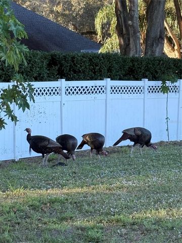 28027 CYPRESS SPRINGS LOOP, Okahumpka, FL 34762