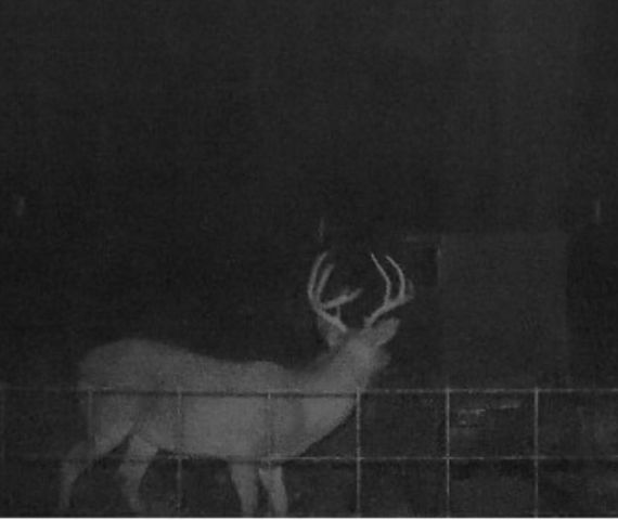 902 Vz County Road 3710, Edgewood, TX 75117