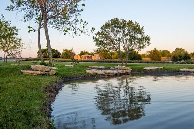 3504 Shining Light Court, Heath, TX 75126