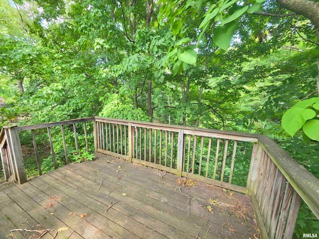 428 LAROSH Court, Creve Coeur, IL 61610