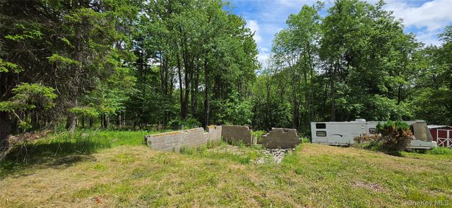 208 Parksville Road, Parksville, NY 12768