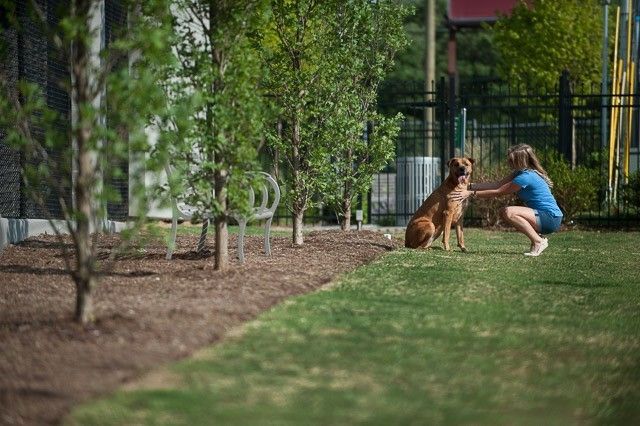 1212 Laurel St Apt 1713, Nashville, TN 37203