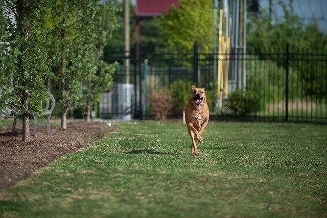 1212 Laurel St Apt 1713, Nashville, TN 37203