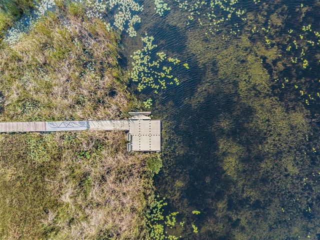8296 OLIVE BROOK DRIVE, Wesley Chapel, FL 33545