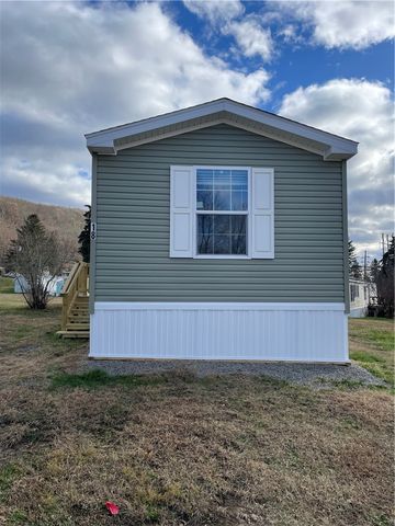 18 Locust Drive, Hornellsville, NY 14843