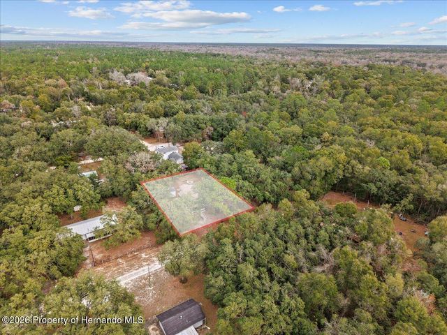 455 NE 441 Avenue, Old Town, FL 32680