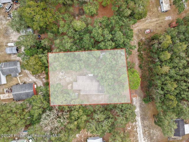 455 NE 441 Avenue, Old Town, FL 32680