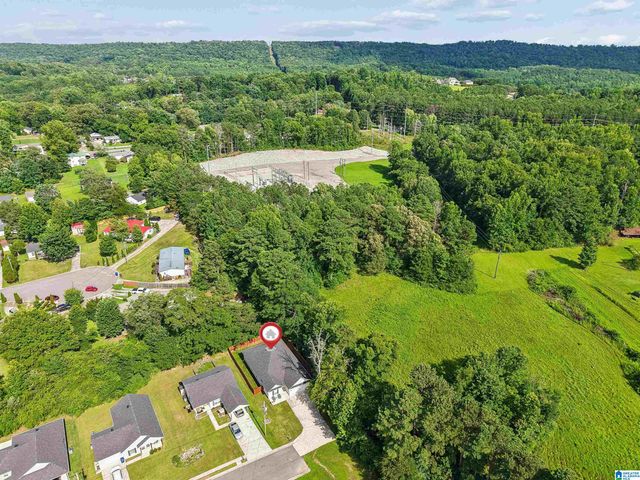 157 TRINITY LANE, Oneonta, AL 35121