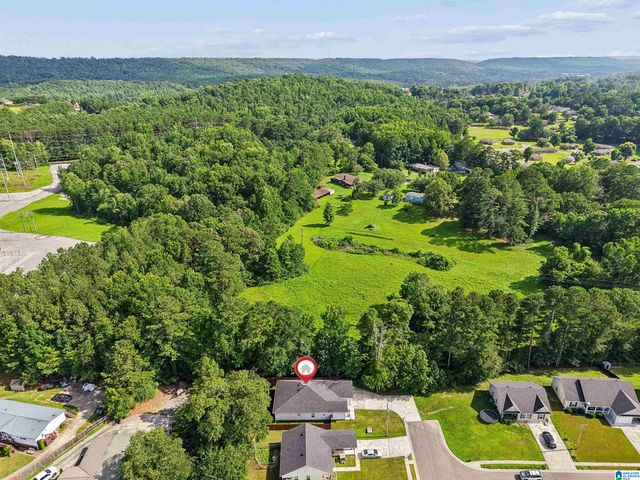 157 TRINITY LANE, Oneonta, AL 35121