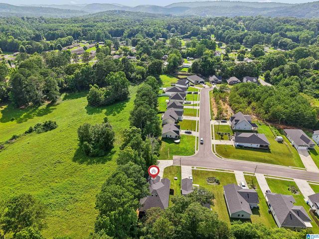 157 TRINITY LANE, Oneonta, AL 35121