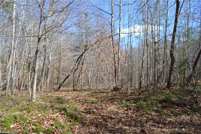 599 Nc Highway 770, Mayodan, NC 27027