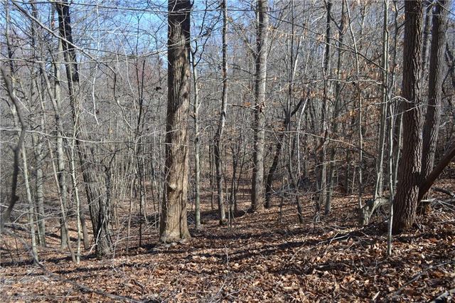 599 Nc Highway 770, Mayodan, NC 27027