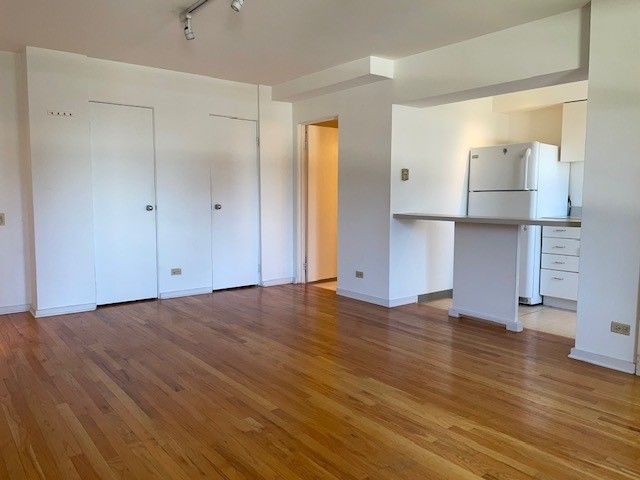 40 E 9th Street 1412, Chicago, IL 60605