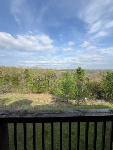 2901 Vineyards Parkway, 1-3, Branson, MO 65616
