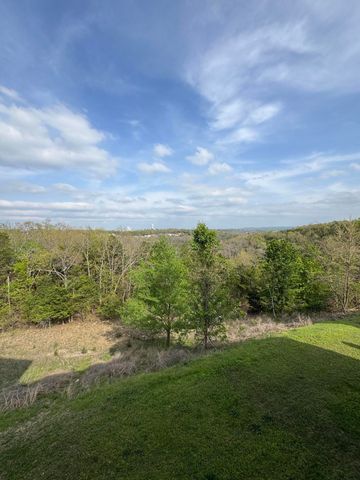 2901 Vineyards Parkway, 1-3, Branson, MO 65616