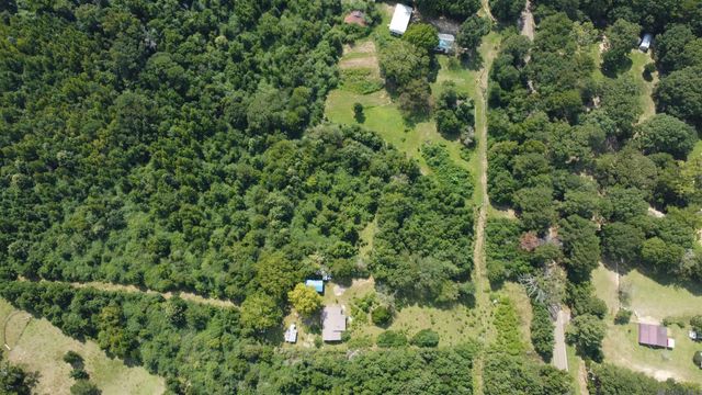 8081 La Hwy 961, Clinton, LA 70722