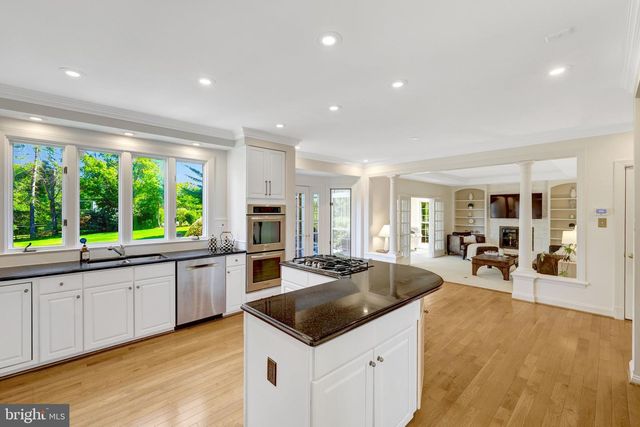 10114 NEDRA DR, Great Falls, VA 22066
