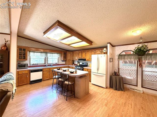 17 Amanda Circle, Florissant, CO 80816