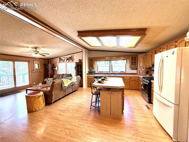 17 Amanda Circle, Florissant, CO 80816