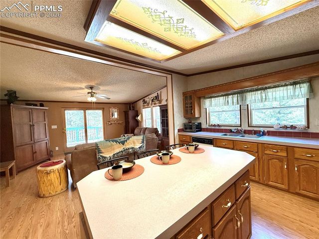 17 Amanda Circle, Florissant, CO 80816