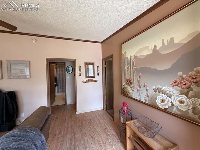 17 Amanda Circle, Florissant, CO 80816