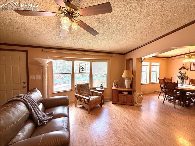 17 Amanda Circle, Florissant, CO 80816